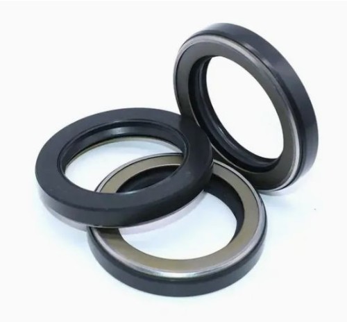 SKF CR  HDS2 HDS1 OIL SEAL Customization is supported