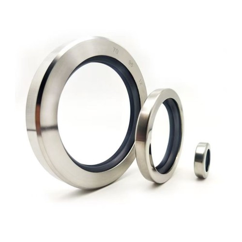 Double Lips Oil Seals PTFE Stainless Steel 304 Seals Standard